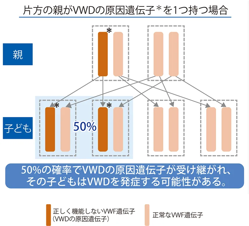 図1：顕性遺伝（片方の親がVWDの原因遺伝子を1つ持つ場合）