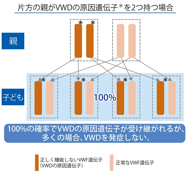 図3：潜性遺伝（片方の親がVWDの原因遺伝子を2つ持つ場合）