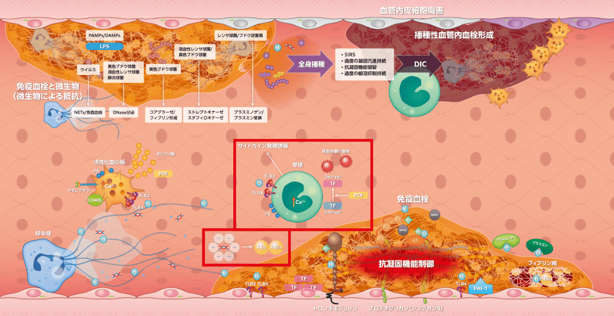 図2-2