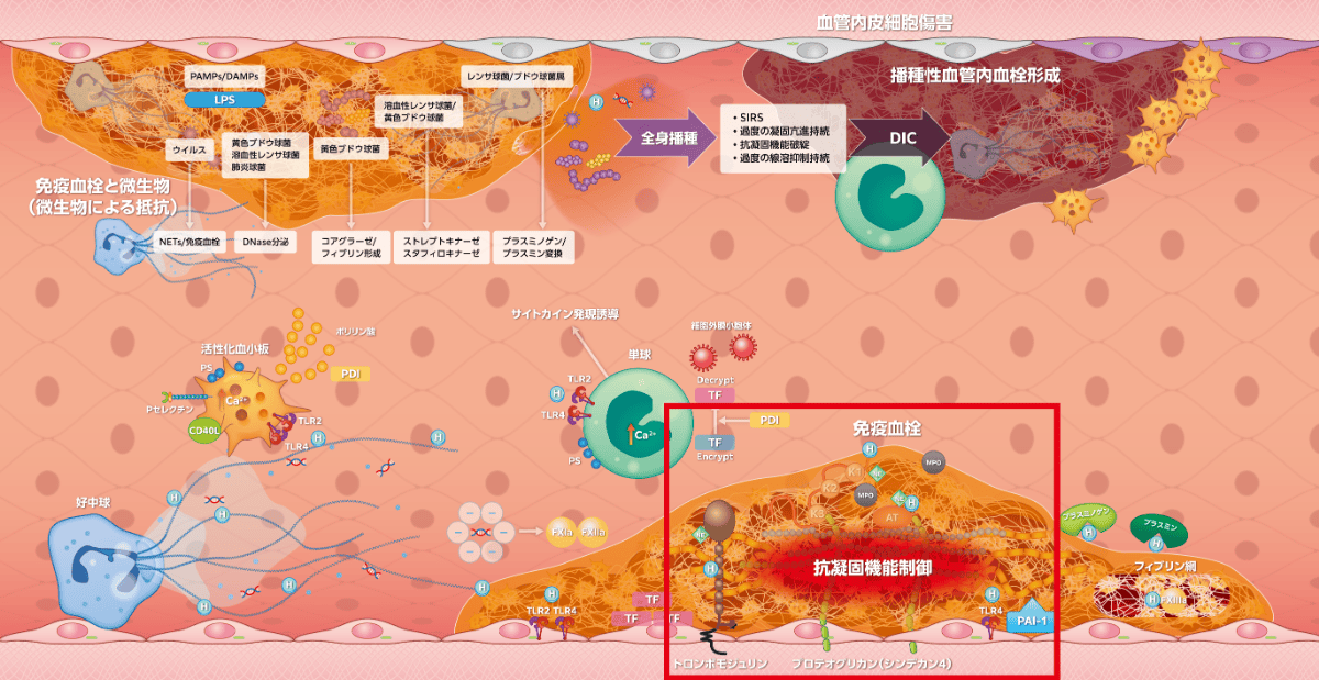 図2-3