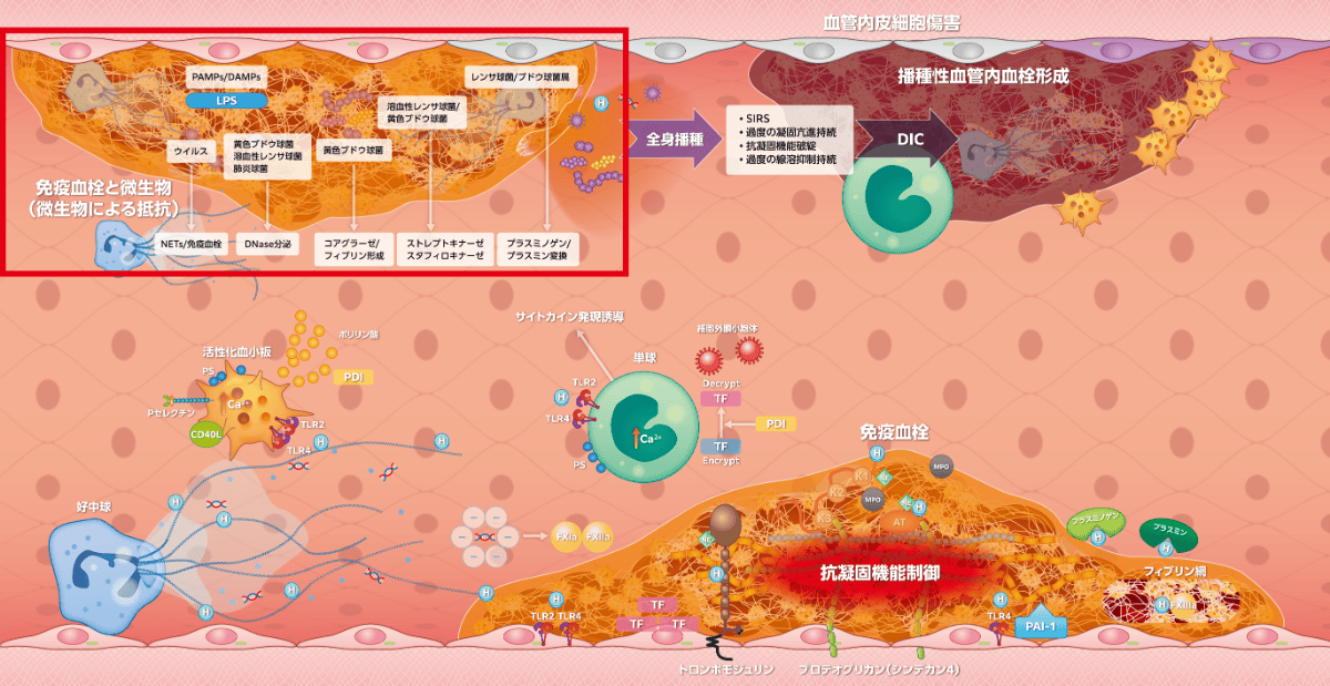 図2-5