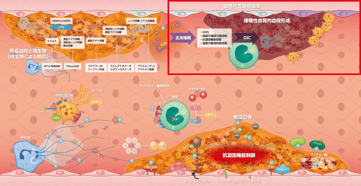 図2-6