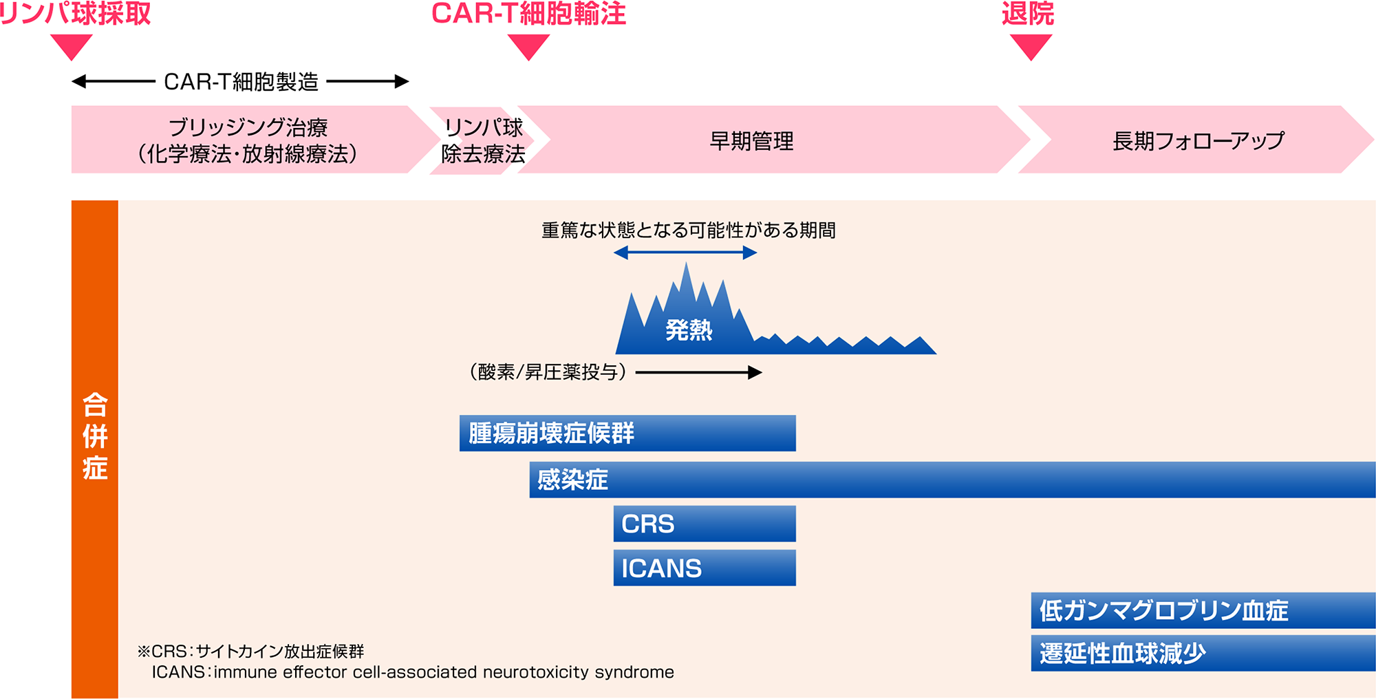 図２ CAR-T細胞療法の一般的な経過