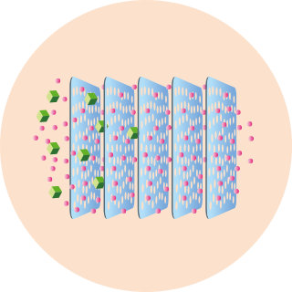 STEP3 製造段階（ウイルス除去膜）
