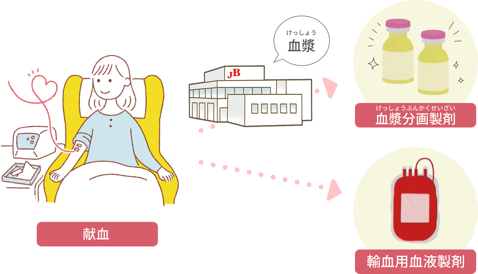 血液で ほかの人を助けることができる 血液のチカラ 血液からお薬をつくる Jb のお仕事