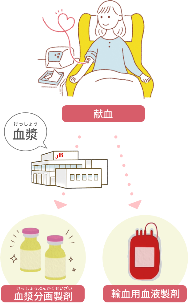 イラスト：献血であつまった血液はどうなるの？ 献血 血漿分画製剤 輸血用血液製剤