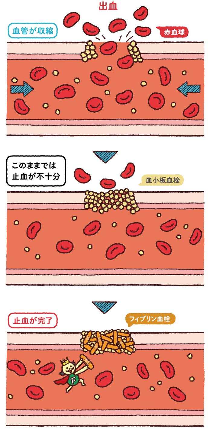 ともともさんご専用です。