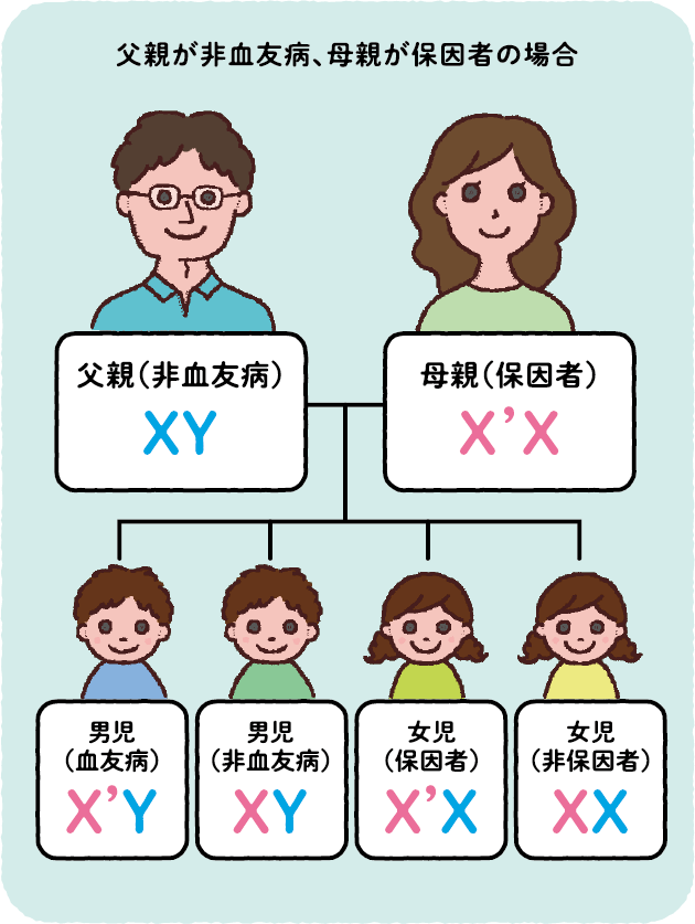 父親が非血友病、母親が保因者の場合