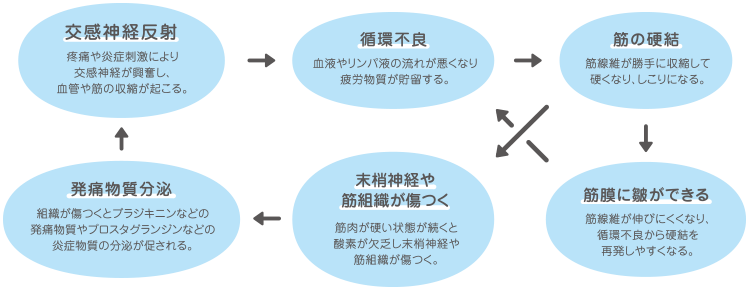 肩こり１ メンテナンス体操