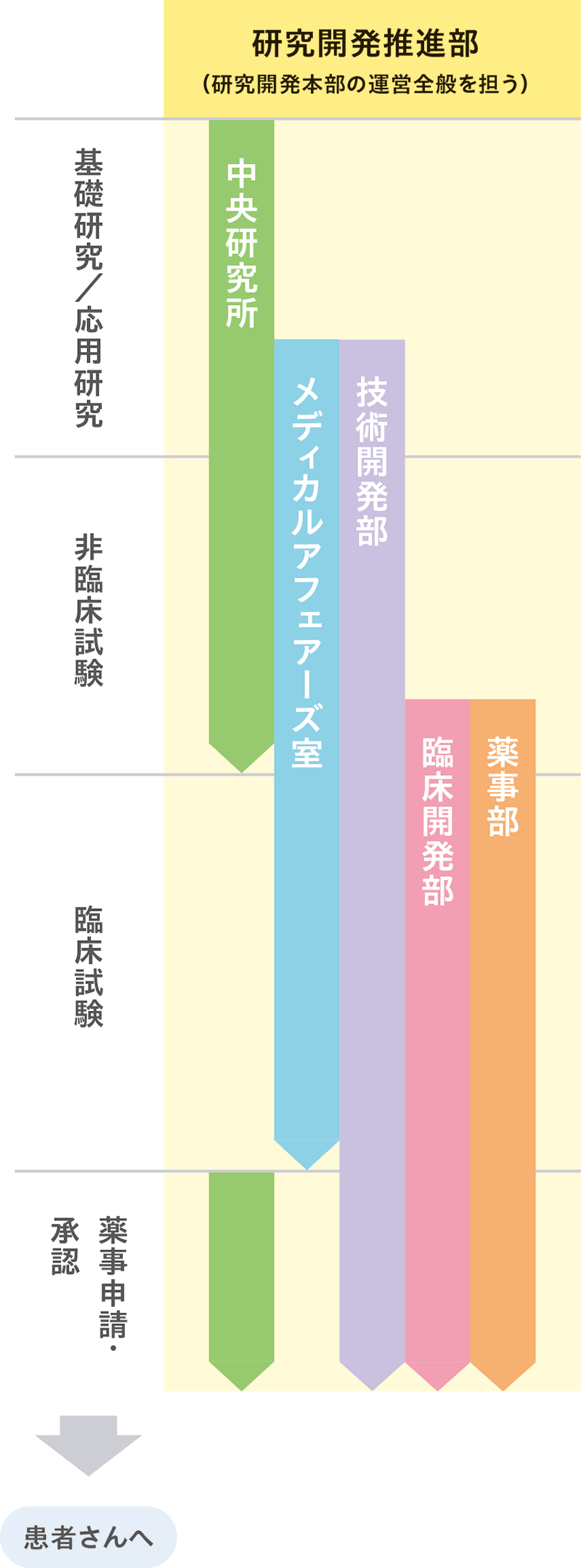 研究開発ステージと各部署の相関図