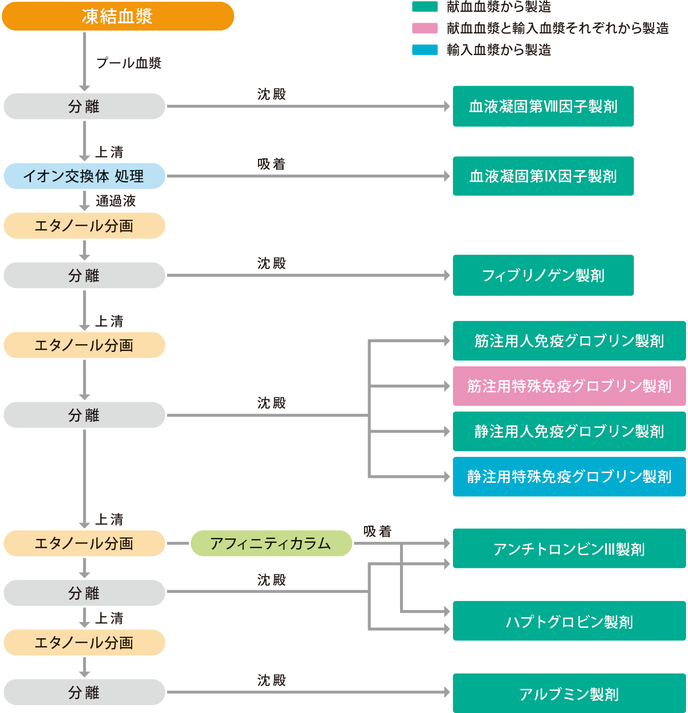 血漿分画製剤製造工程の概略