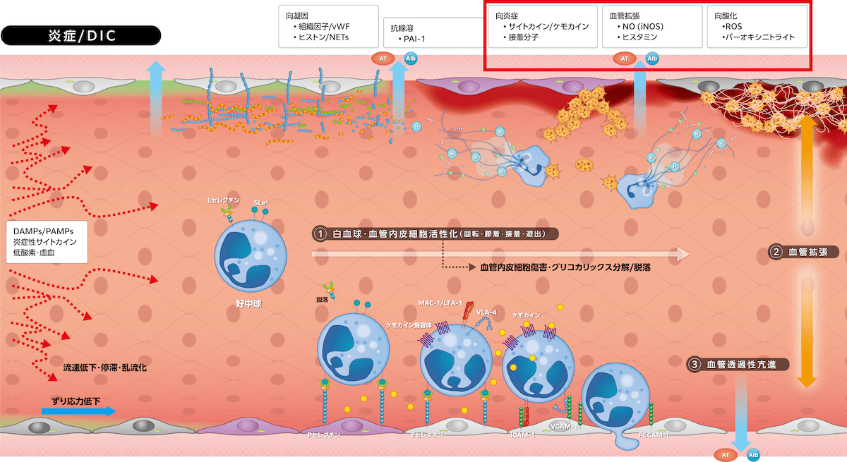 図2-4