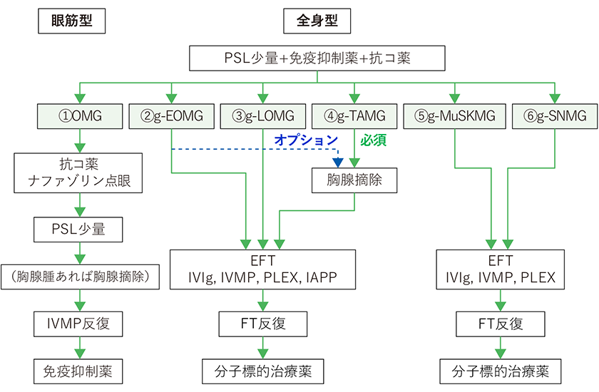 重症筋無力症の治療の流れ概要図