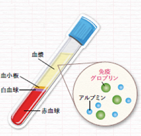 血液の成分