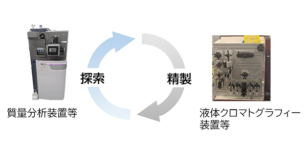 研究サイクルのイメージ