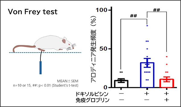 近年の研究成果事例