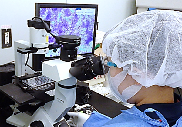 自社の病原体取扱い施設での実験風景