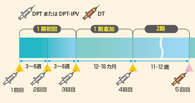 破傷風 予防 接種 大人 どこで