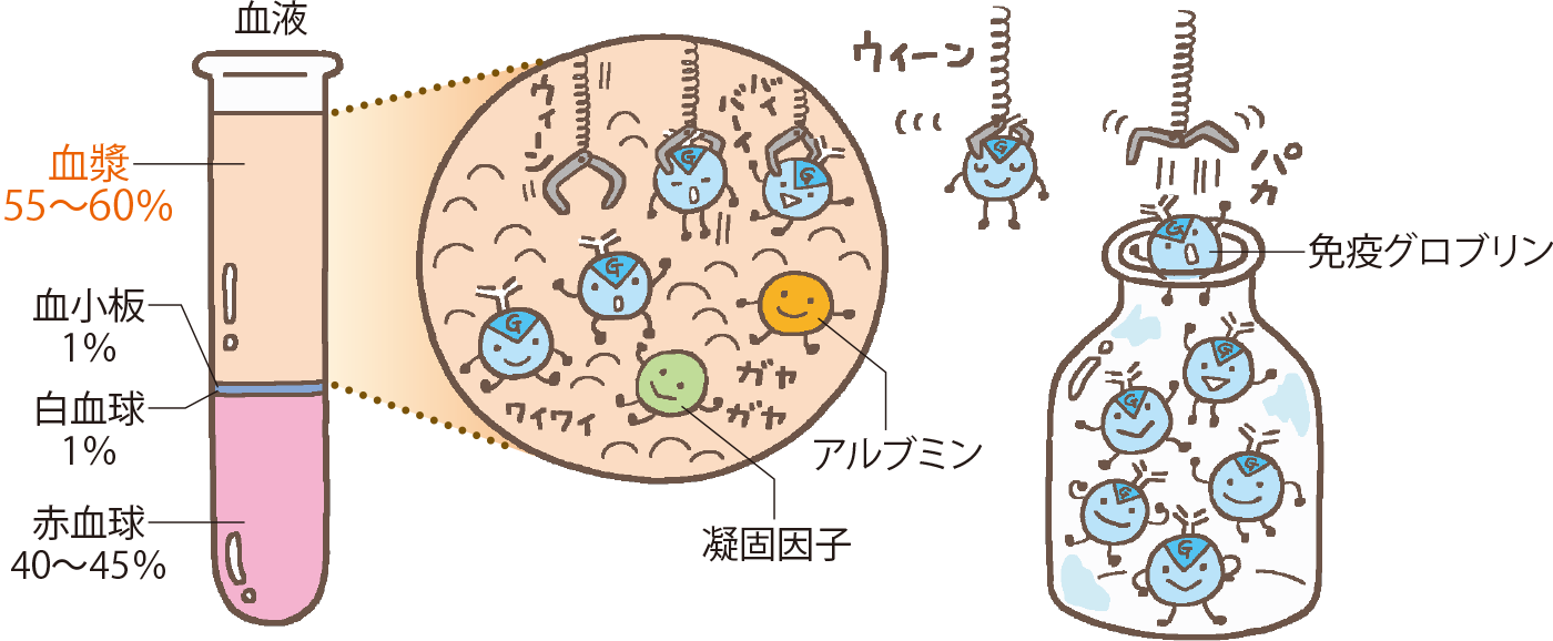 免疫グロブリン検査はなぜ行われるのですか?