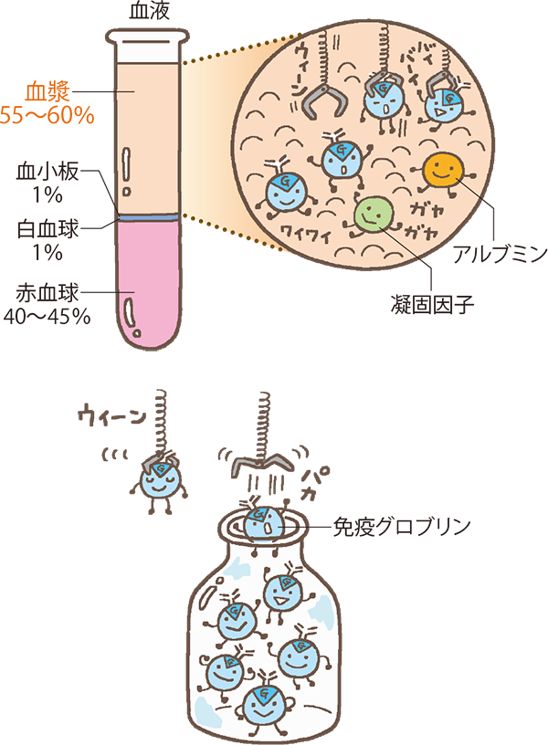 免疫グロブリン製剤